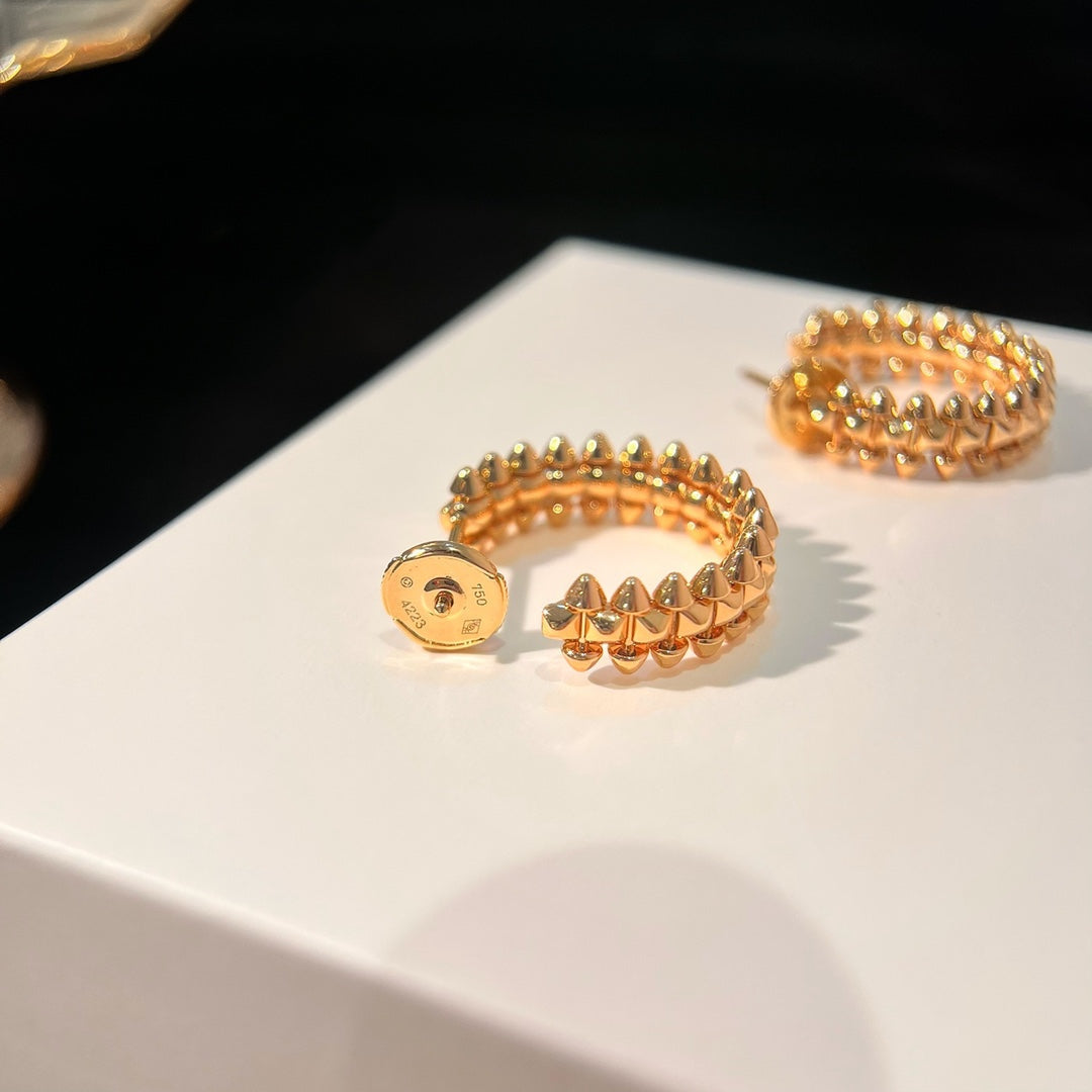 ¡®Sprite Jewelry¡¯CLASH EARRINGS